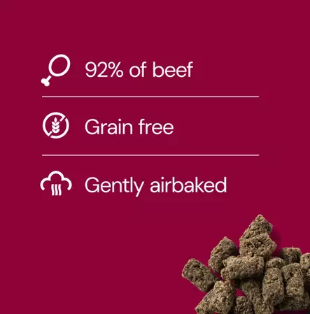 RAUH! Cold Dried Tripe MeatBalls 100 g - Koulutusherkut - 6492 - 2