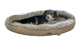 Koiranpedit ryhmään