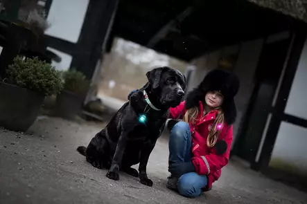 Orbiloc Dual Carabiner hakakiinnike lisävaruste Orbiloc turvavaloon - Koiran huomiovalot - 5420 - 2