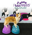 FlexiPAWS® Cloud tasapainoalusta koiralle - Jumppatarvikkeet koiralle - 1940 - 4
