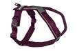 Non Stop Line Harness 5.0 violetti koko 1 - Koiran valjaat - 3730 - 1