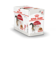 Royal Canin Instinctive Gravy kissan märkäruoka 12 x 85 g - Royal Canin märkäruoat kissalle - 4640 - 1