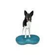 FitPAWS® Duo Disc tasapainoalusta - Jumppatarvikkeet koiralle - 5340 - 4