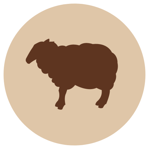 Fanimal Jauhettu lammas, luuton 500 g - Fanimal - 1510 - 1