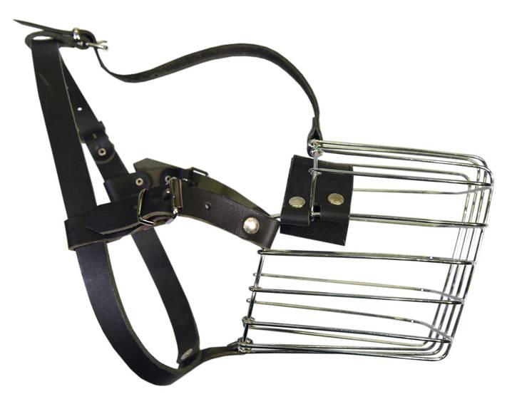 Klin Metallikoppa kuvasz - Metalliset kuonokopat koiralle - 100 - 1