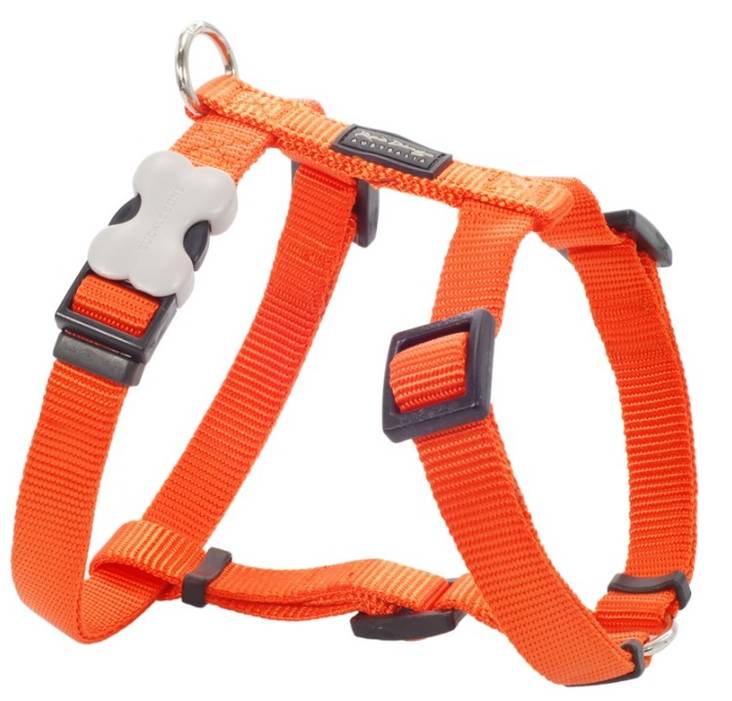 RedDingo Classics valjaat oranssi 36-54 cm - Koiran valjaat - 3890 - 1