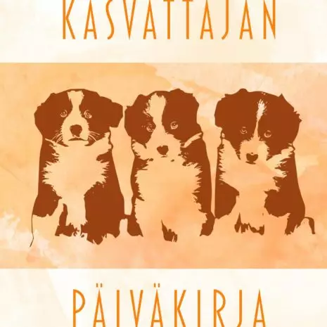 Kasvattajan päiväkirja - Kirjat - 5380 - 1