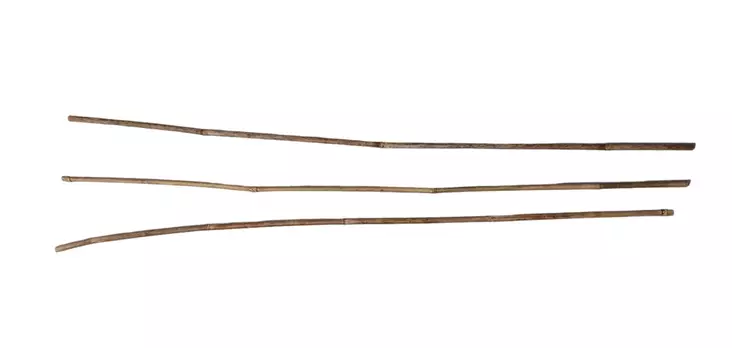 D&C Rottinkikeppi - Maalimiehen piiskat ja pamput - 200 - 1