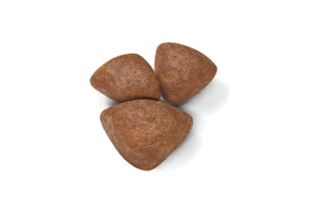 Royal Canin Mini Starter koiran kuivaruoka 4 kg - Royal Canin kuivaruoat koiralle - 3421 - 2