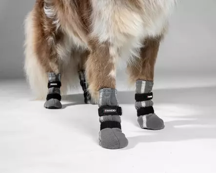 Halla Reflective tossut 4 kpl XXS harmaa - Koiran suojatossut - 2661 - 2