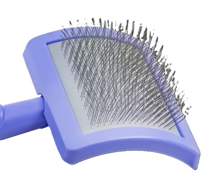 Tauro muovinen karsta 20 mm piikeillä large SOFT violetti - Koiran karstat - 5736-1 - 2