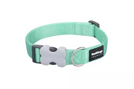 RedDingo Classics panta pastelli vihreä 12 mm 20-32 cm - Koiran tekstiilipannat - 5971 - 1