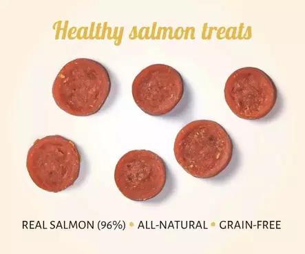 Antos Wild Snacks Salmon koiran viljattomat makupalat 80 g - Koulutusherkut - 5451 - 2