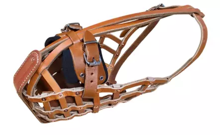 Mechelaar kuonokoppa nahkainen metallivahvikkeella koko 7 - Nahkaiset kuonokopat - 5551 - 2