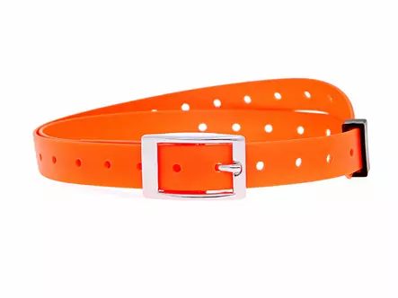 Muovitettu kaulapanta 25 mm oranssi - Koiran tekstiilipannat - 5471 - 1