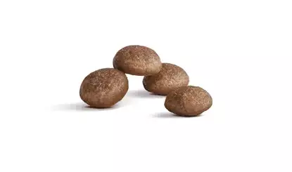 Royal Canin Ageing 15+ 400 g - Royal Canin kuivaruoat kissalle - 5511 - 2