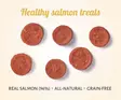Antos Wild Snacks Salmon koiran viljattomat makupalat 80 g - Koulutusherkut - 5451 - 2