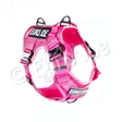 Euro Joe Taktinen valjas pinkki S - Koiran valjaat - 1361 - 1
