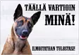 Varoituskyltti Malinois - Varoituskyltit - 1071 - 1