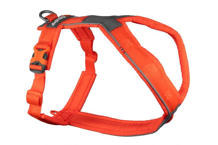 Non Stop Line Harness 5.0 oranssi koko 1 - Koiran valjaat - 3731 - 1