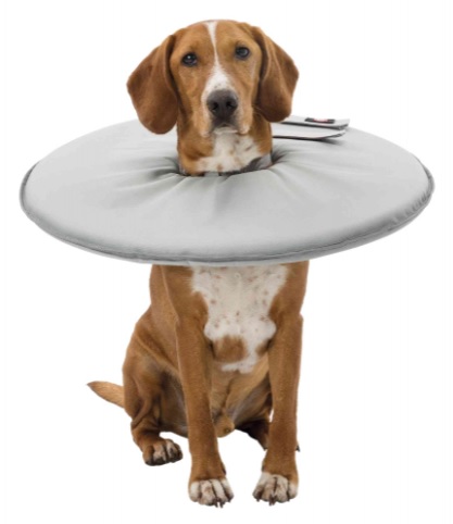 Trixie Joustava suojakaulus XS - Koiran kaulurit - 1671 - 1