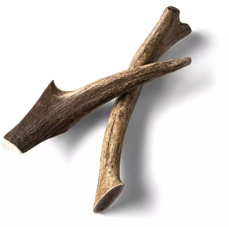 RAUH! Antler peuran sarvi S - Muut puruluut - 2871 - 1