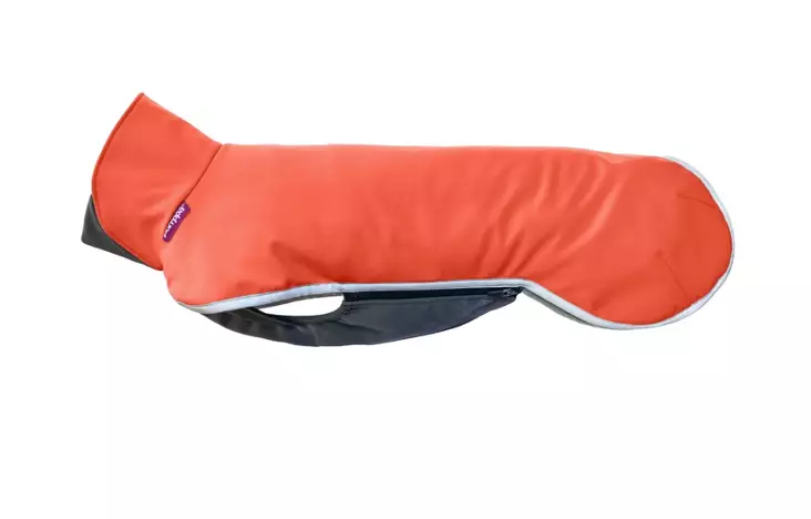 Pomppa SporttiPomppa habanero 37 cm - Koiran takit - 2981 - 1