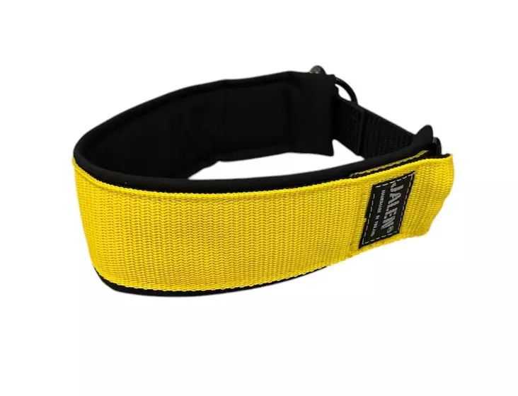 Jalen PK panta 50 mm keltainen 35-45 cm - Koiran tekstiilipannat - 2311 - 1