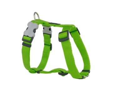 RedDingo Classics valjaat lime 36-54 cm - Koiran valjaat - 3892 - 1