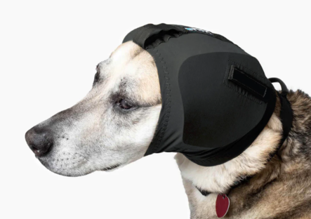 Rex Specs Ear Pro koiran kuulosuojaimet koko 2 - Kuulosuojaimet - 4132 - 2