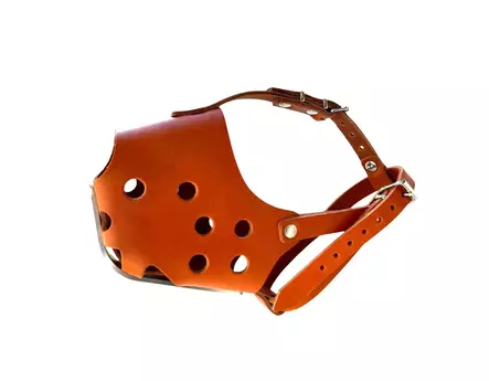 Quasi kuonokoppa nahkainen metallivahvikkeella koko 6 - Nahkaiset kuonokopat koiralle - 2696-2 - 1