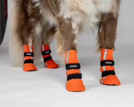 Halla Reflective tossut 4 kpl XXS oranss - Koiran suojatossut - 2662 - 2