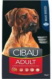 Cibau Adult Maxi Breed 12 kg - Cibau kuivaruoat koiralle - 3082 - 1