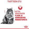 Royal Canin Dental Care kissan kuivaruoka 400 g - Royal Canin kuivaruoat kissalle - 3272 - 2
