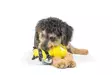 Lulubelless Power Plush Bee pehmolelu pieni - Koiran pehmolelut - 5922 - 4