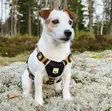Woolly Wolf Sea to Summit valjas XXS - Koiran valjaat - 6312 - 3