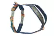 Non Stop Dogwear Line Harness 5.0 Rachel Pohl edition sinivihreä/tammi koko 1 - Koiran valjaat - 2632 - 1