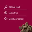 RAUH! Cold Dried Tripe MeatBalls 100 g - Koulutusherkut - 6492 - 2