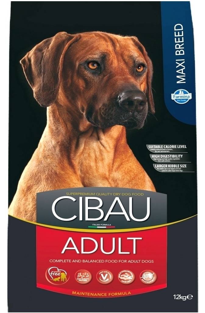 Cibau Adult Maxi Breed 12 kg - Cibau kuivaruoat koiralle - 3082 - 1