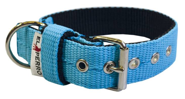 EL PERRO Solkipanta kapea turkoosi 45 cm - Koiran tekstiilipannat - 1312 - 1