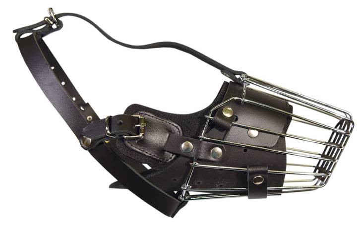 Metallikoppa huopavuorella malinois - Metalliset kuonokopat koiralle - 232 - 1