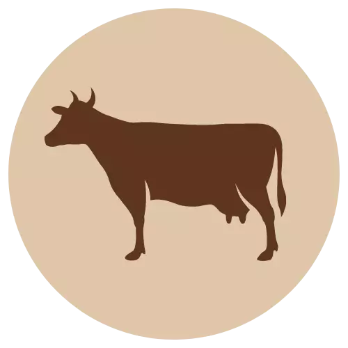 Fanimal Naudan luut n. 1,5 kg - Pakasteluut - 2842 - 1