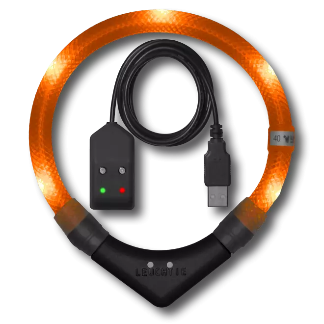 Leuchtie Easy Charge ladattava valopanta oranssi 35 cm - Koiran valopannat - 6092 - 1