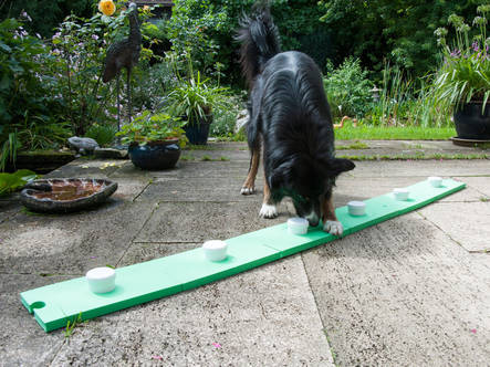 Procyon Nuuskusuora alusta hajuerotteluun - Purkkirata-alustat - 1993 - 1