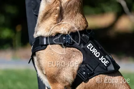 Euro Joe Taktinen valjas neon keltainen S - Koiran valjaat - 2023 - 2