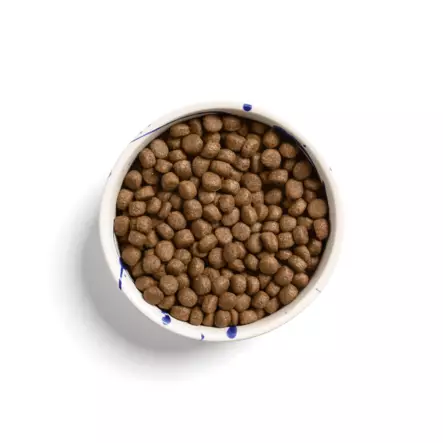 Meatballs kala 500 g - Koulutusherkut - 6393 - 2