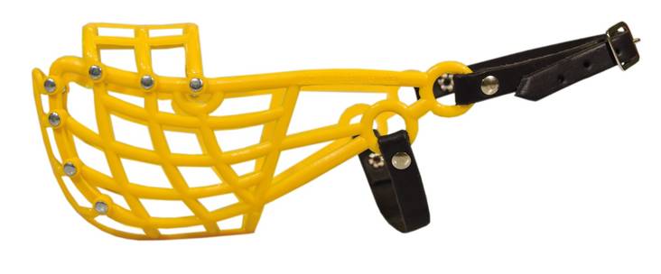 D&C Kennelkoppa Whippet keltainen - Kennelkopat koiralle - 203 - 1