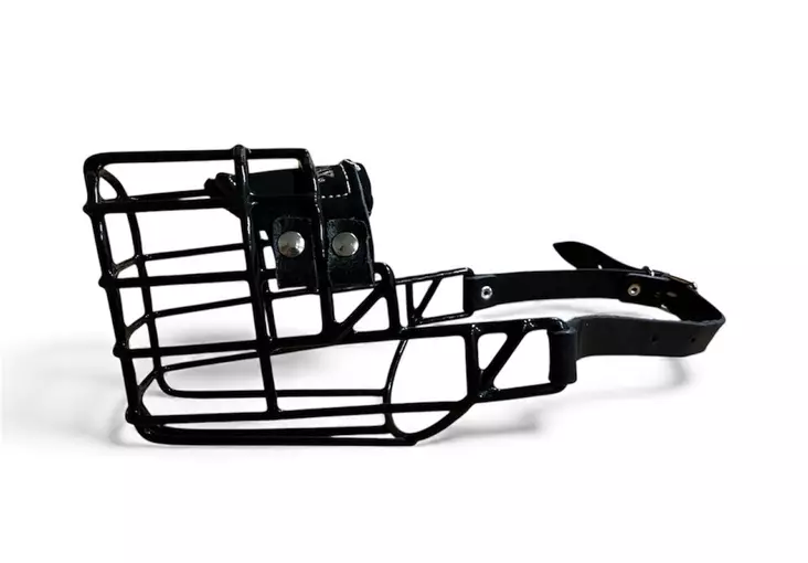 Gappay metallinen kuonokoppa kumipinnoitteella malinois uros - Metalliset kuonokopat koiralle - 5433 - 1