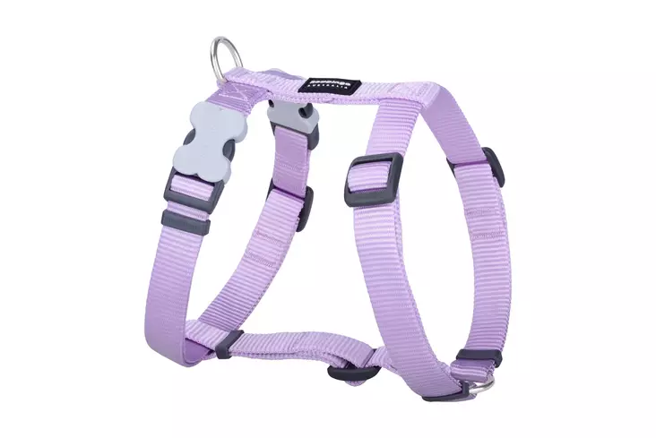 RedDingo Classics valjas pastelli lila 12 mm 30-44 cm - Koiran valjaat - 5973 - 1