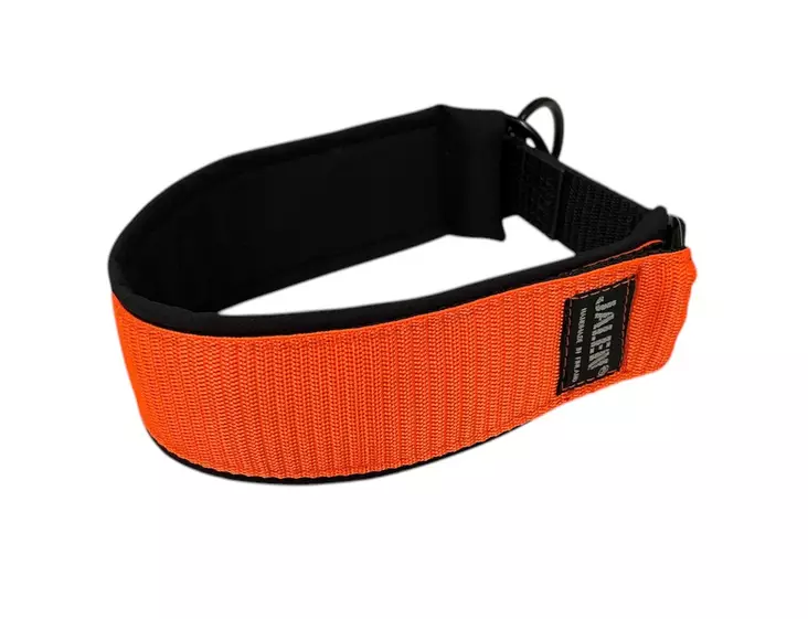 Jalen PK panta 50 mm oranssi 35-45 cm - Koiran tekstiilipannat - 2313 - 1